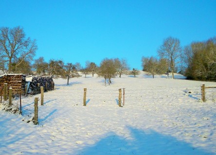 La neige des Vosges