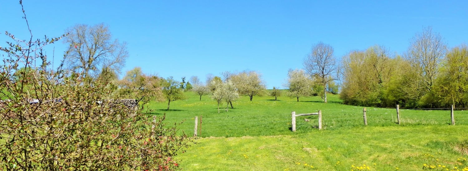 Un gîte au coeur de la plaine des Vosges